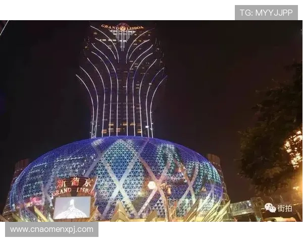 澳门新葡京手机版APP下载安装指南，详细步骤帮助玩家轻松开启精彩游戏之旅