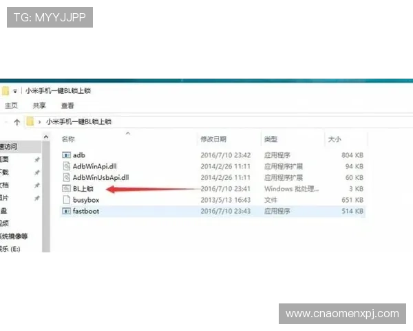 如何快速完成永乐高登录下载流程，详细步骤与常见问题解决方案