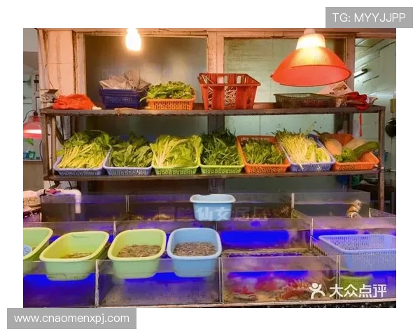 成都濠记娱乐城适合家庭聚会的最佳场所全面介绍与实用指南